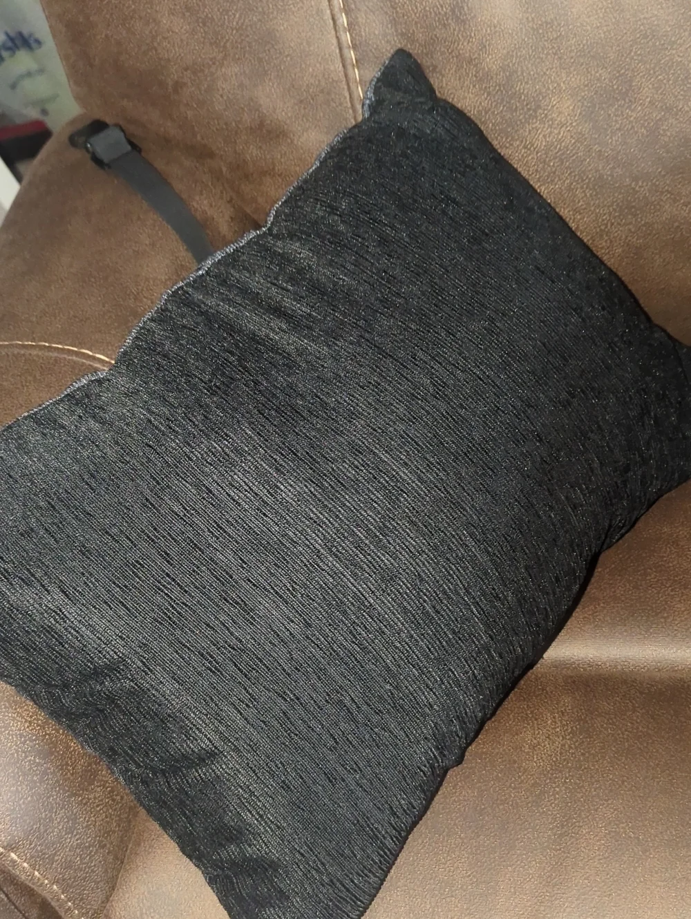 Decorative Skull Throw Pillow